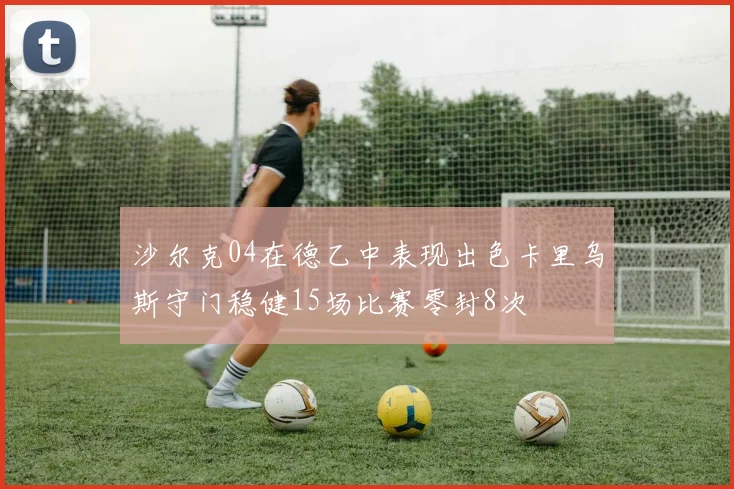 沙尔克04在德乙中表现出色卡里乌斯守门稳健15场比赛零封8次