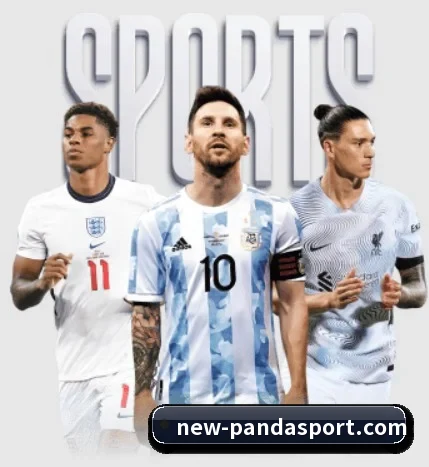 坚持做好基础的事 | PANDASPORTS